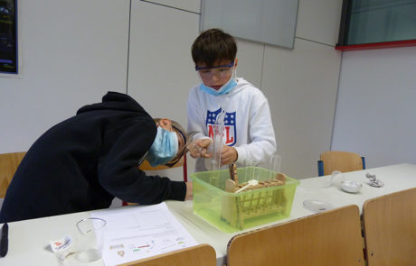 Unsere Forscherklasse beim experimentieren